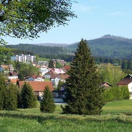 Haus Hochstein Aparthotel Haidmühle Zewnętrze zdjęcie